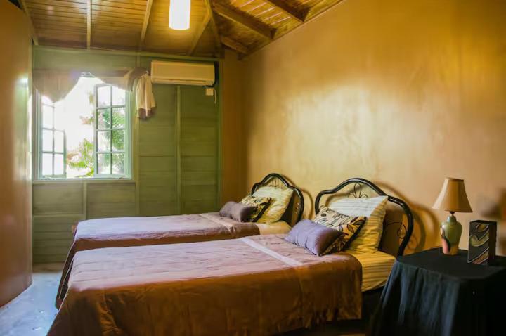 One32 Guesthouse Bejeweled Kingston Eksteriør bilde